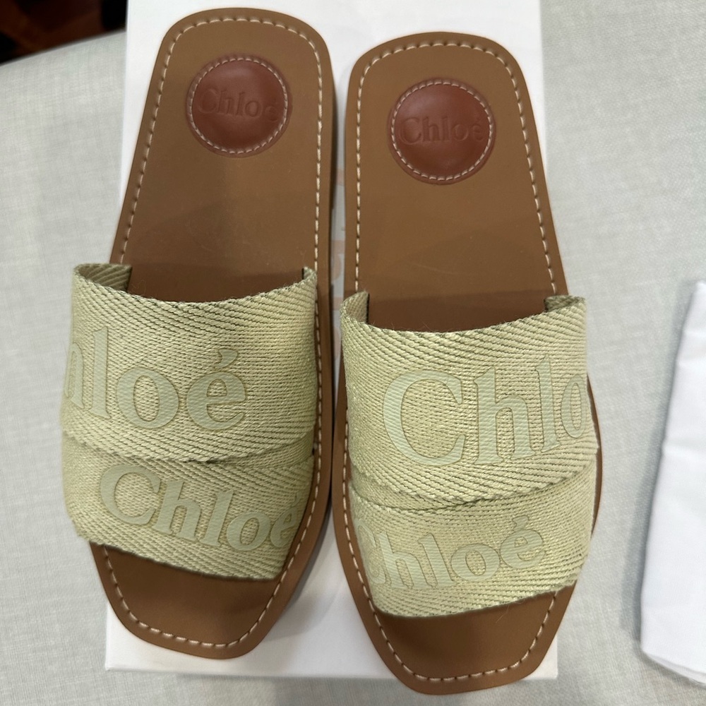 Chloe slides